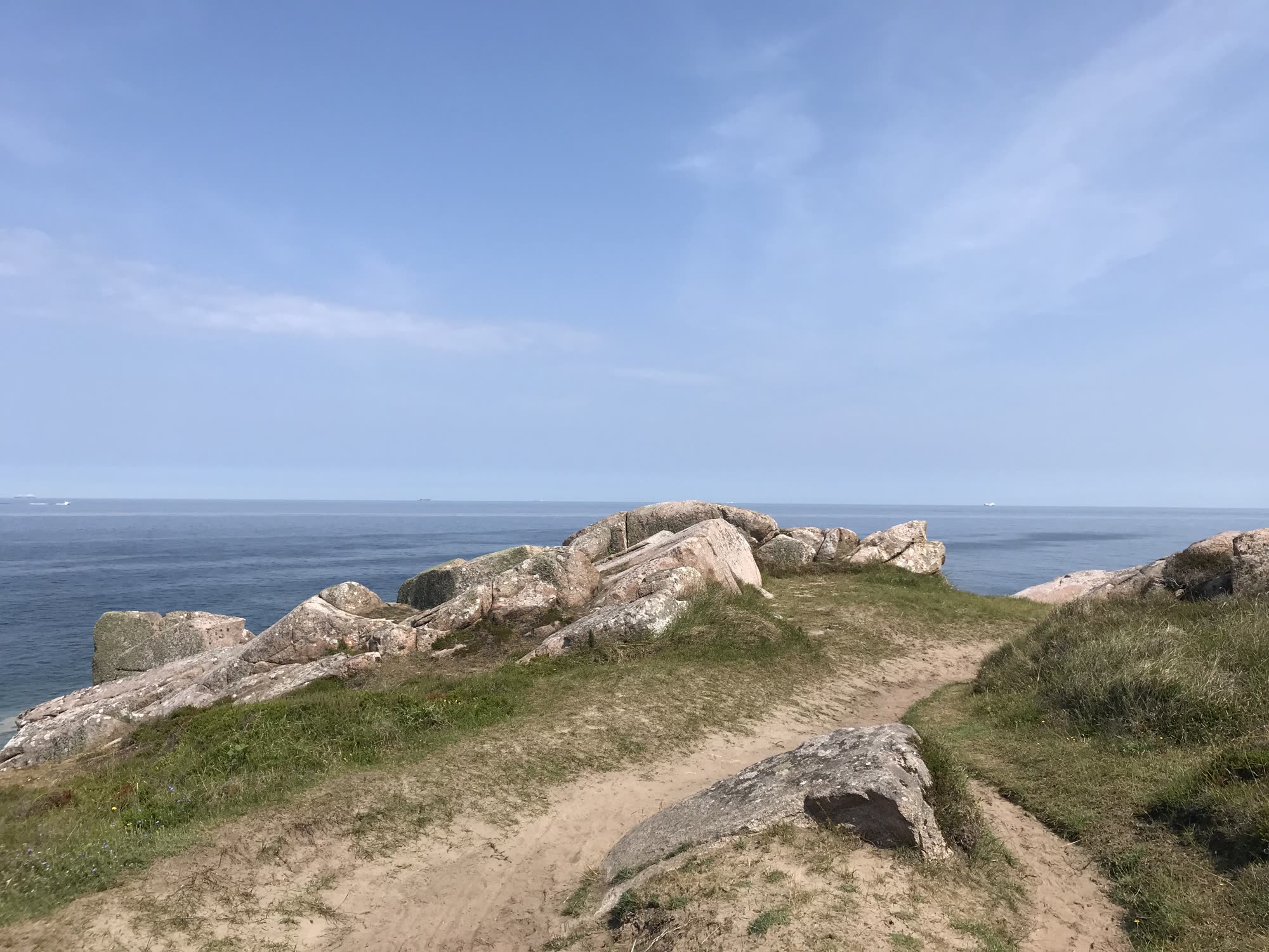 Skovsti i Rø Plantage