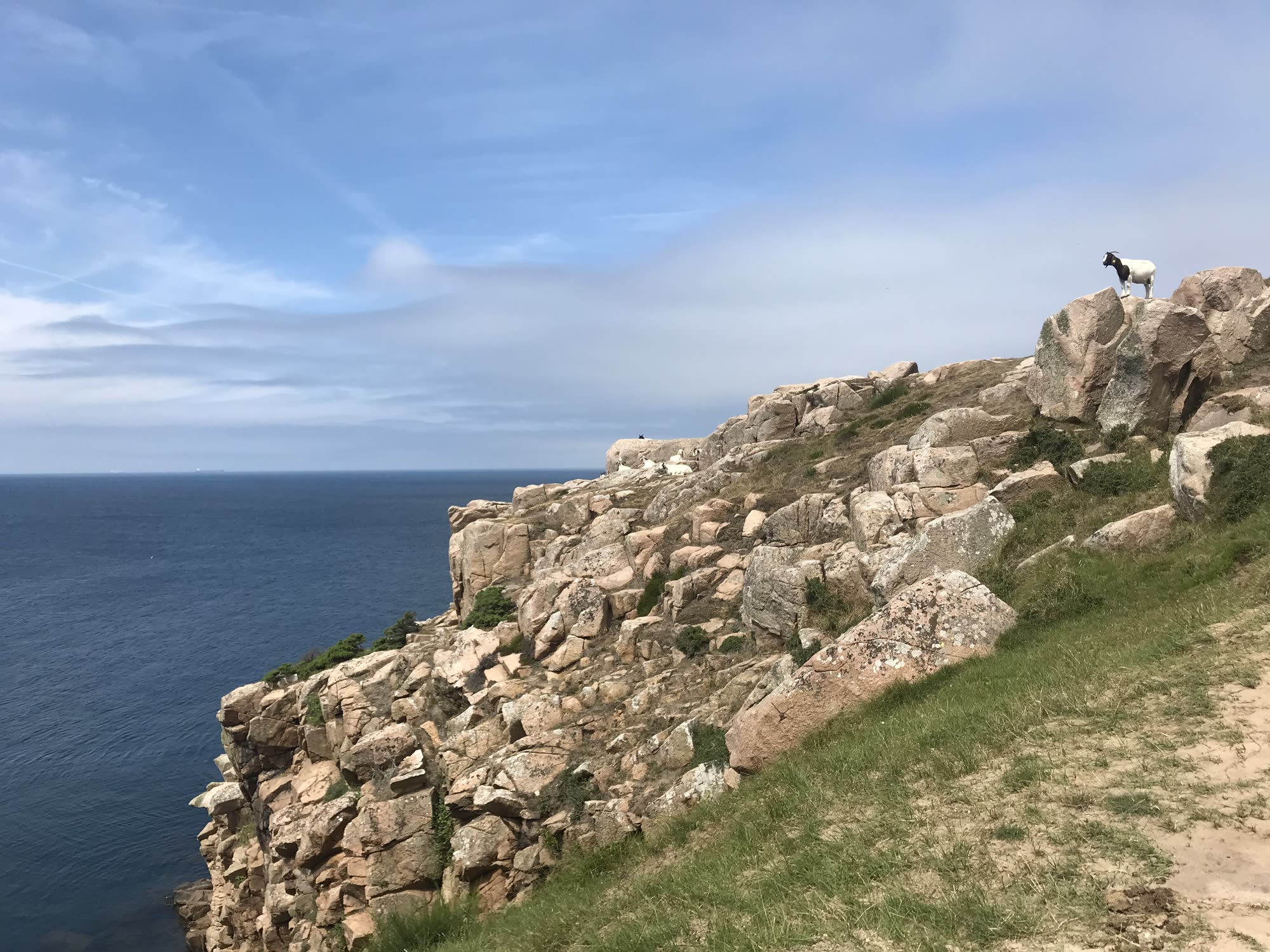 Klippekysten ved Randkløve